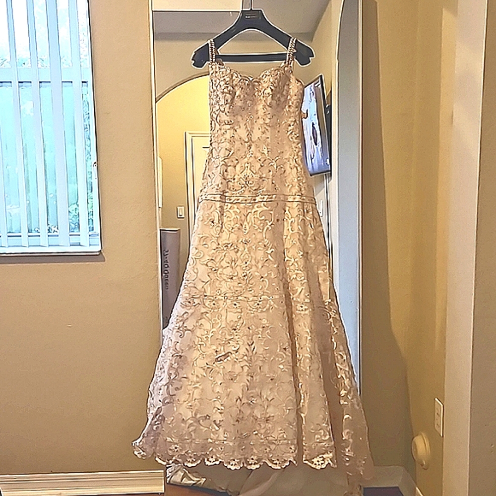 Vintage Blush Wedding Dress A line with cathedral train and veil